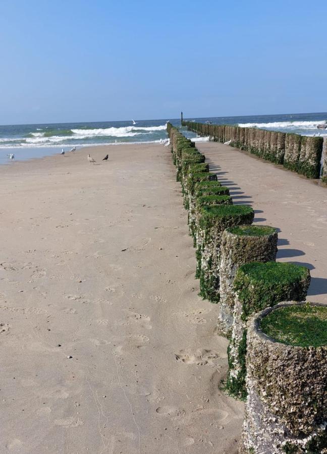 De Notenbalk Aan Zee Bed and Breakfast Βλισίνγκεν Εξωτερικό φωτογραφία